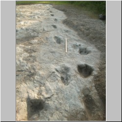 102_6404 (2013-08-09)mod.JPG